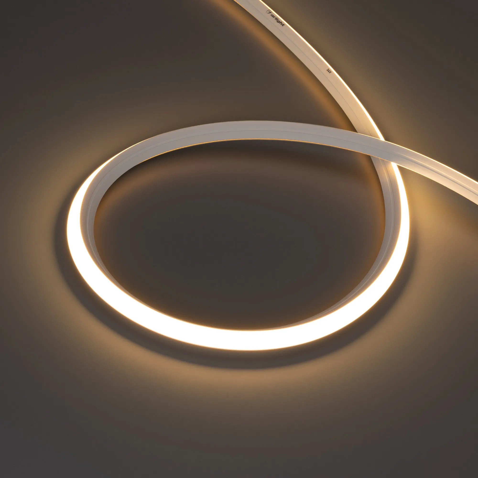 Лента герметичная MOONLIGHT-3D-X544-10x10mm 24V Warm3000 (8 W/m, IP67, 5m, wire x1) (Arlight, Вывод боковой, 5 лет) - изображение товара