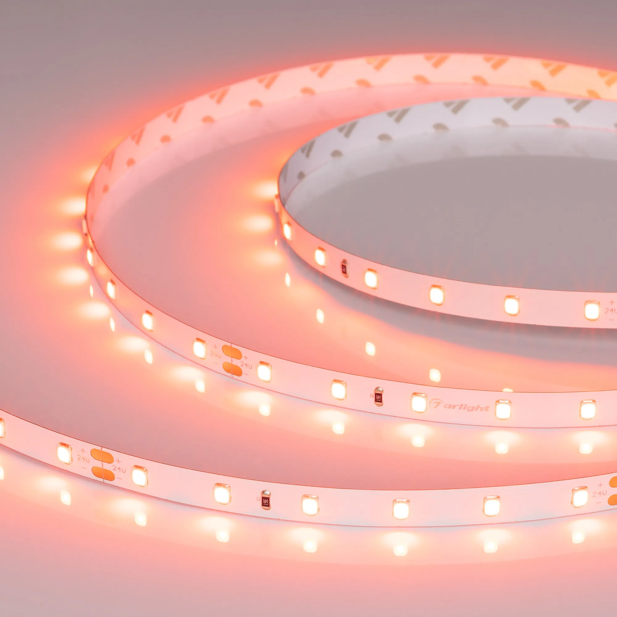 Лента RT-A60-8mm 24V Carrot (4.8 W/m, IP20, 5m) (Arlight, -) - изображение товара